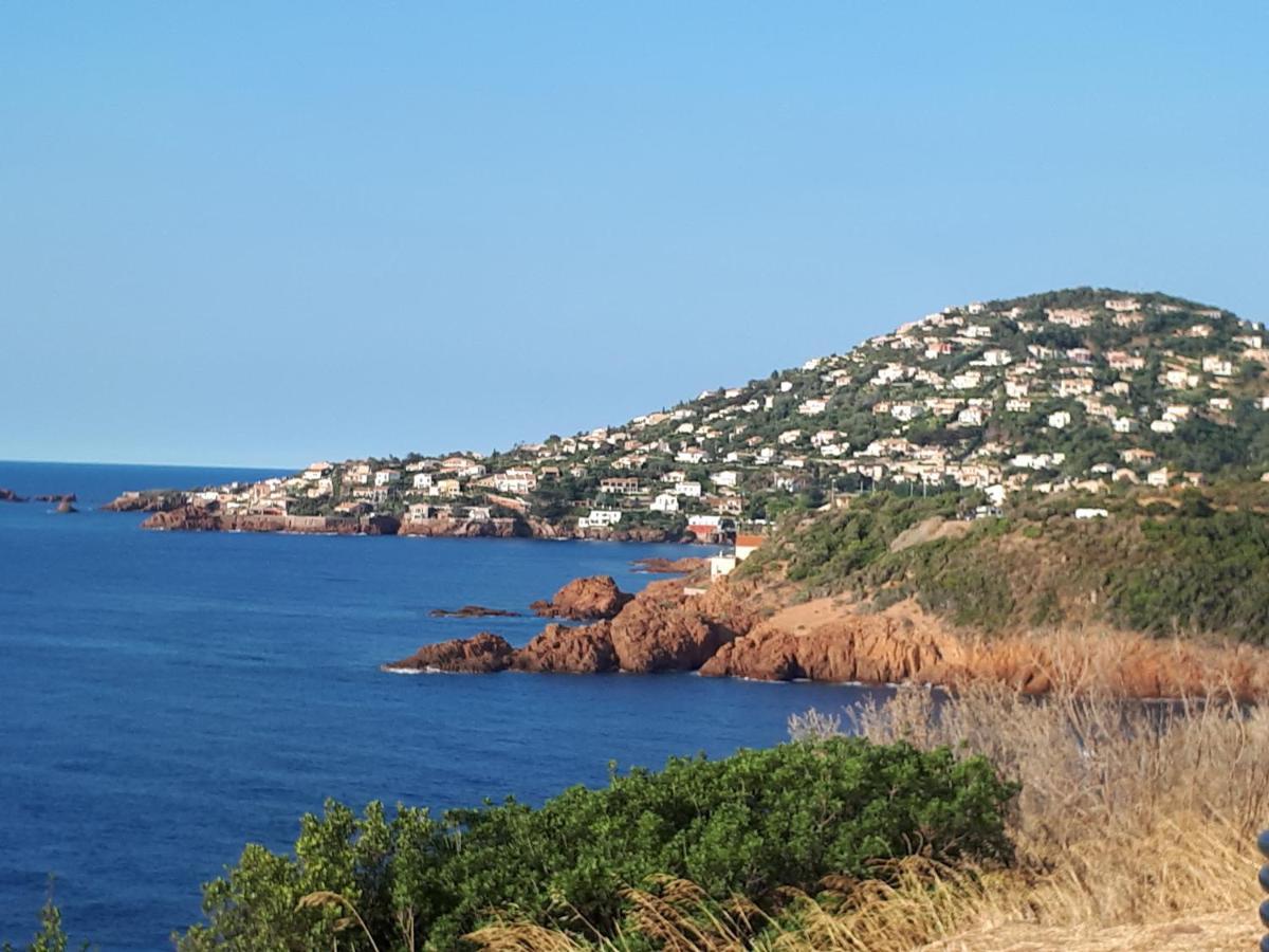 Frejus Plage T2, Piscine, Parking, Plages A 200M 외부 사진