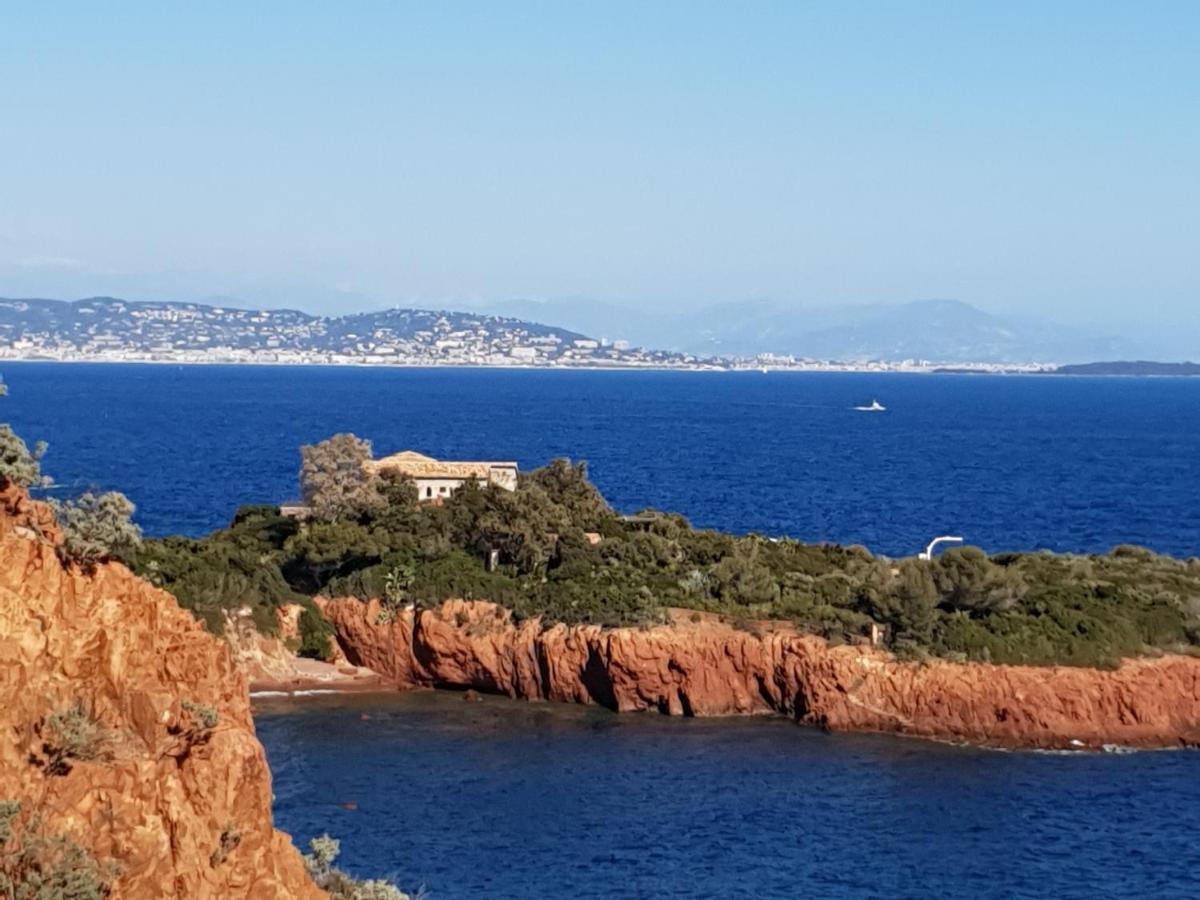 Frejus Plage T2, Piscine, Parking, Plages A 200M 외부 사진