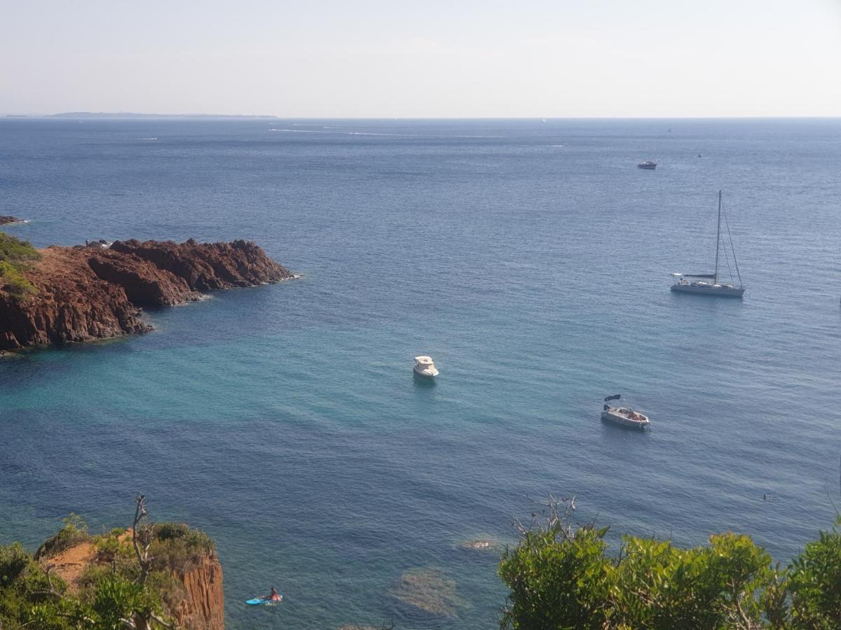 Frejus Plage T2, Piscine, Parking, Plages A 200M 외부 사진